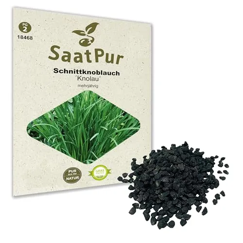 SaatPur Schnittknoblauch Samen, Saatgut für ca. 200 Pflanzen Kräutersamen