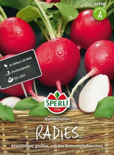 Gemüsesamen, Radieschen 'Riesenbutter'