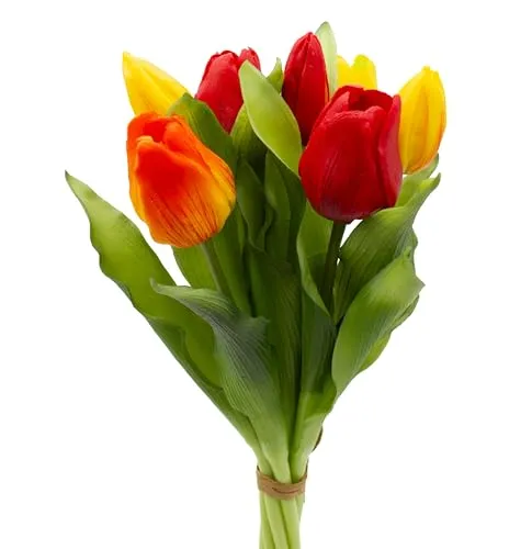 Dekorationen von mucplants