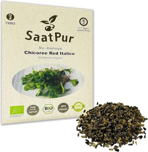 SaatPur Bio Keimsprossen - Chicory Red Italico - Keimsaat für die Sprossenzucht zuhause - 15g