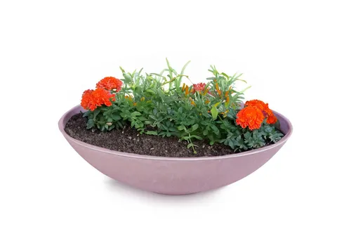 matches21 HOME & HOBBY Blumentopf Flache Pflanzschale für draussen Dekoschale rund altrosa 45 cm (1 St), Blumen-Schale als wetterfeste Friedhof-Schale Grab-Schmuck Grabschale