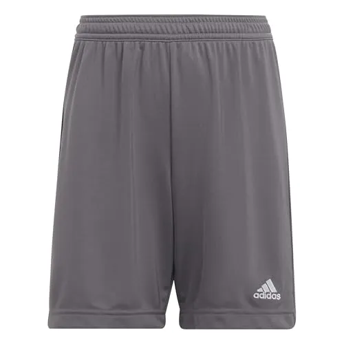 adidas Unisex Kinder Entrada 22 Shorts, Team Grey Four, 5-6 Years