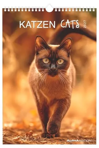 Katzen 2027: Wandkalender 23,7x34 cm mit Katzenmotiven, 4-sprachigem Kalendarium und Platz für Notizen