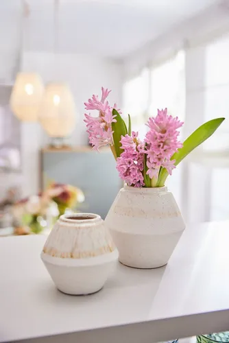 Home affaire Dekovase (Set, 2 St) in grün von Home Affaire