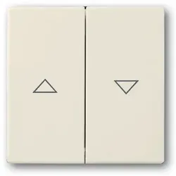 Busch-Jaeger 1785 JA-82 Wippe 2-fach für Jalousieschalter mit Symbol 