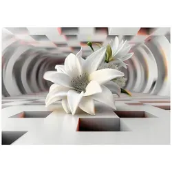 Wallarena Fototapete Grau, 200x140 cm, Vlies, 3D-Effekt - Hochwertige Vlies-Fototapete mit beeindruckendem 3D-Design für eine stilvolle Raumgestaltung. Einfache Montage und langlebige Qualität sorgen für ein perfektes Ergebnis in jedem Raum.