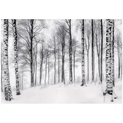 Wallarena Fototapete, Mehrfarbig, Papier, Baum/Pflanze/Natur, Rechteckig, 150x105 cm, FSC 100%, Tapeten & Wandverkleidungen, Fototapeten