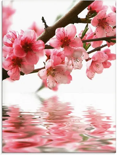 Artland Glasbild Pfirsichblüten reflektieren im Wasser, Blumen (1 St), in verschiedenen Größen