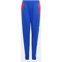 adidas Kinder Trainingshose Tiro 24 Competition Track Pant Y blau 176 - Trainingsbekleidung für Fußball, mit Aeroready-Technologie für optimalen Feuchtigkeitstransport und Slim Fit für eine sportliche Passform.