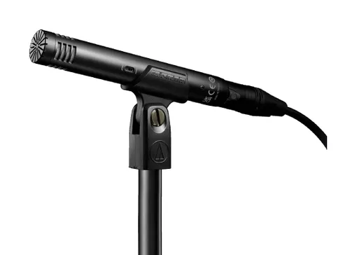 AT2031 Mikrofon schwarz - Hochwertiges Studio-Mikrofon - Mikrofone, ideal für HiFi und PC, bietet klare Klangqualität mit Frequenzbereich von 20 Hz bis 20 kHz und professionellem XLR-Ausgang.