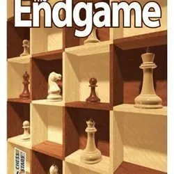 The Endgame