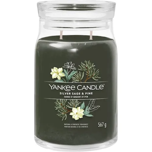 Yankee Candle Signature Silver Sage & Pine 567 g in silber von Yankee Candle