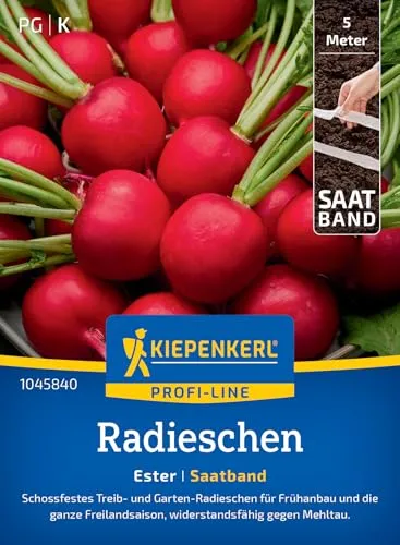 Kiepenkerl Profi-Line Radieschensamen Ester 1045840 - Schossfest - Widerstandsfähig - Inhalt für 5 lfd. Meter - Gemüsesamen, Samen Gemüse, Saatband