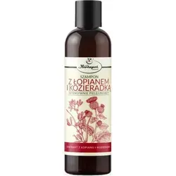 Produktbild Herbapol Shampoo mit Klette und Bockshornklee 250 ml