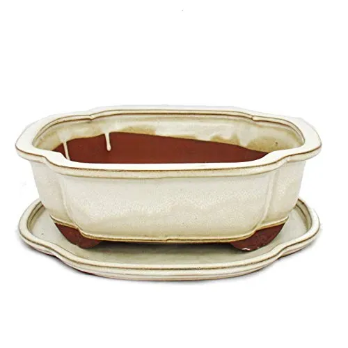 Exotenherz Bonsai-Schale mit Unterteller, Gr.4, hellbeige in beige von Exotenherz