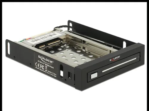 Delock Mobiles Speicher-Rack 2.5