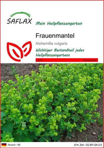 SAFLAX Blumensamen SAFLAX von Saflax
