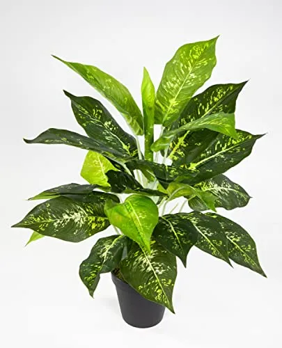 Seidenblumen Roß Dieffenbachia 46cm im Topf ZF Kunstpflanzen künstliche PflanzenDieffenbachiapflanze