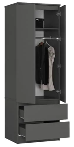 BDW Kleiderschrank mit 2 Türen, 2-türiger Kleiderschrank, 2 Schubladen - Aufbewahrungsschrank - Moderner Schrank für Schlafzimmer, Wohnzimmer, Flur, Kinderzimmer - 180x60x51cm - Graphit Grau