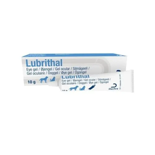 Lubrithal Augengel für Hund und Katze 10 g von Dechra