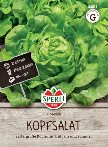 Sperli Kopfsalatsamen Florence 82813 - zarte, große Köpfe - für Frühjahr und Sommer - Inhalt für 80 Pflanzen - Saatgut, Samen Salat, Salat Pflanzen