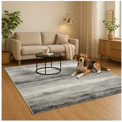 oKu-Tex Teppich Phoenix Wohnzimmerteppich, Kurzflor Beige meliert, Teppich, Höhe: 8,5 mm, besonders weicher Kurzflor, pflegeleicht beige Teppich | 120 cm x 170 cm