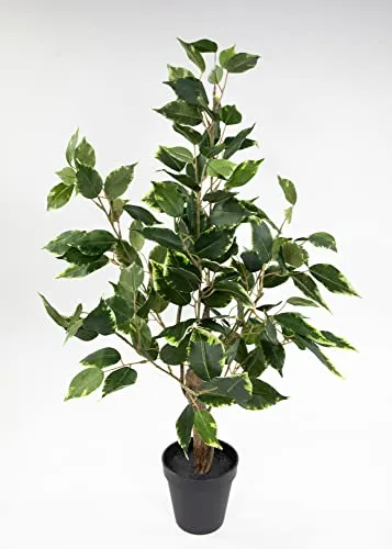 Seidenblumen Roß Ficus Benjamini 60cm im Topf LA Kunstpflanze künstliche Pflanzen Birkenfeige