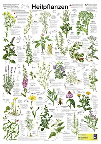 Heilpflanzen (Planet-Poster-Box) von Planet Poster Editions
