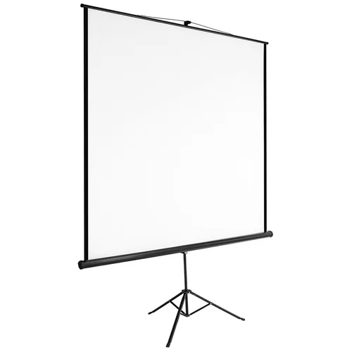 Tectake Beamer Leinwand mit Stativ 85-110 Zoll - Beamer-Leinwand für Heimkino mit tragbarem Design, ideal für Präsentationen und Filme. Hochwertiges Material, 16:9 Format, leicht und mobil.