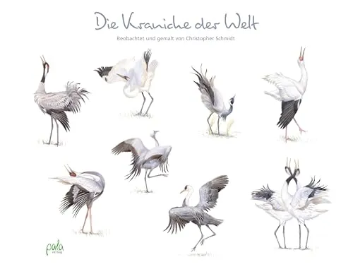 Die Kraniche der Welt: Kunstgeschichte & -kritik - Entdecken Sie die faszinierende Welt der Kraniche in der Kunstgeschichte, mit beeindruckenden Illustrationen und tiefgründigen Analysen.