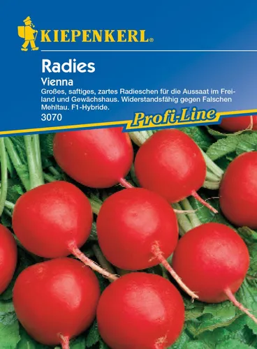 Kiepenkerl Radieschen Vienna F1 in rot von Pflanzen