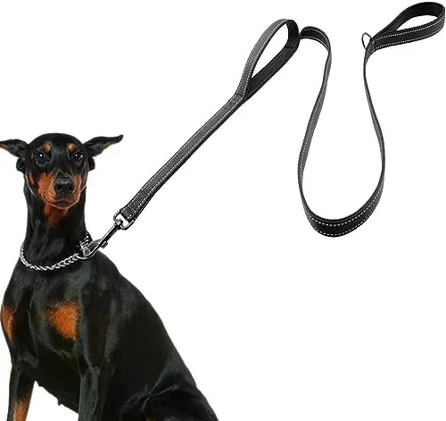 Reflektierende Hundeleine für große Hunde - Klassische Hundeleinen, 1.5m verstellbar mit gepolsterten Neopren-Handschlaufen, ideal für Training und Gassi gehen. Reflexion für optimale Sichtbarkeit bei Nacht.