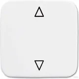 Busch-Jaeger Wippe Jalousietaster 2506 JA/02-214