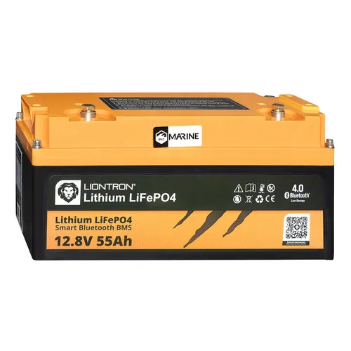 Produktbild LIONTRON LiFePO4 Lithium Akku 12,8V 55Ah