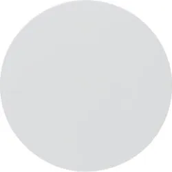 Berker 16202089 Wippe R.1/R.3, polarweiß glänzend