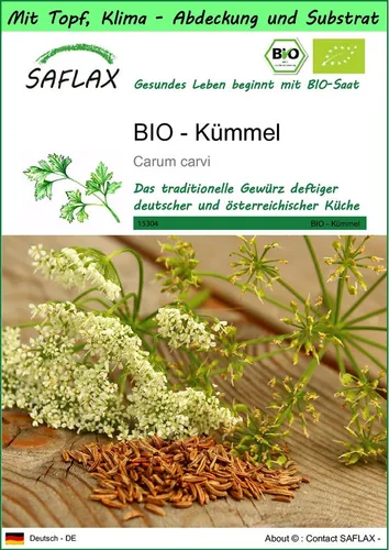 SAFLAX Kräutersamen SAFLAX - Garden to go - BIO - Kümmel