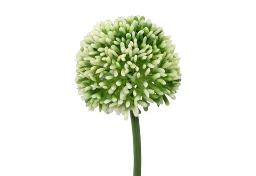 Kunstblume Kunstblume ALLIUM ca 44cm. Blütenkopf ca 6,5cm., Gasper, Höhe 44.00 cm