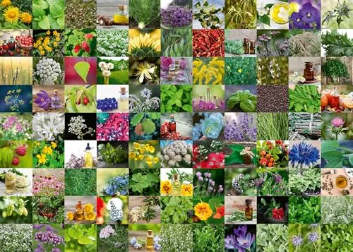 Ravensburger Puzzle 12000073-99 Kräuter und Gewürze - 1000 Teile Puzzle für Erwachsene und Kinder ab 14 Jahren
