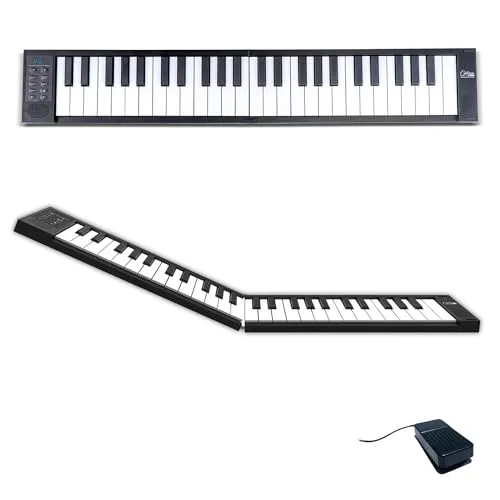 Blackstar FP-49 Touch - Tragbarer 49-Tasten MIDI-Controller - Audio-Controller mit berührungsempfindlichen Tasten für dynamisches Spielgefühl, ideal für reisende Musiker. 8 Stunden Akkulaufzeit und kompakte Bauweise machen ihn perfekt für unterwegs.