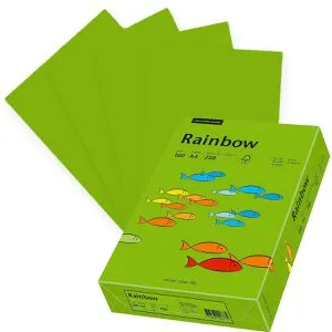 Papyrus Kopierpapier Rainbow 88042681, A4, 160g/qm, intensivgrün, 250 Blatt