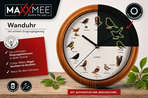 DS Produkte Vogel-Wanduhr 25cm mit 12 Vogelstimmen