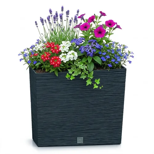 Produktbild Pflanzkasten 60 x 18,5 x 50 cm in anthrazit