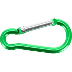 Karabiner Grün von Dörner + Helmer