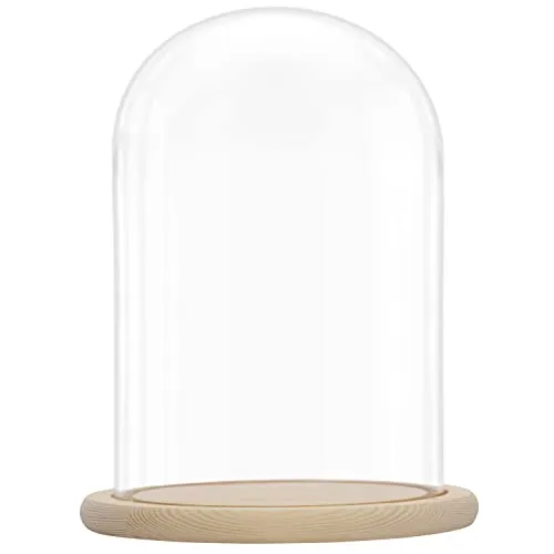 BELLE VOUS Glasglocke mit Holzboden - 31,5 cm hohe Dekoglocke - Präsentationssockel für Dekoartikel, kristallklar und stabil, ideal zum Schutz von Sammelfiguren oder für kreative Arrangements mit Blumen und Lichtern.