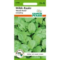 SAMEN PFANN Wilde Rauke Wasabi