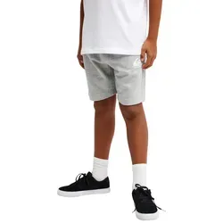 Bermudas QUIKSILVER 