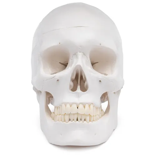 Wissenschaftssets von Cranstein Scientific