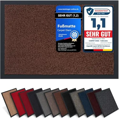 Carpet Diem Fußmatte, einfach sauber I Schmutzfangmatte Eingangsbereich - Fussmatte Innen & Außen, rutschfeste Türmatte, Schmutzfang Teppich für Haustür I Fußabtreter in Braun 40x60 cm