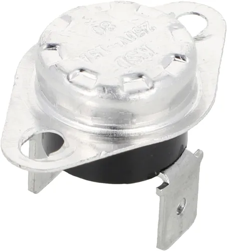 Wilms Sicherheitsthermostat für Heizkanone B 70 und B 125