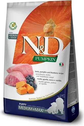 N&D Pumpkin DOG Puppy M/L Lamm & Heidelbeere 2,5 kg - Hundefutter für Welpen mittelgroßer und großer Rassen, getreidefrei mit 60% hochwertigem Protein aus Lamm und Fisch, ideal für empfindliche Mägen.